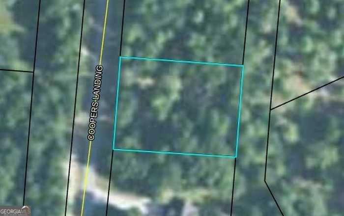 photo 2: LOT 423 Coopers Landing Drive, Townsend GA 31331