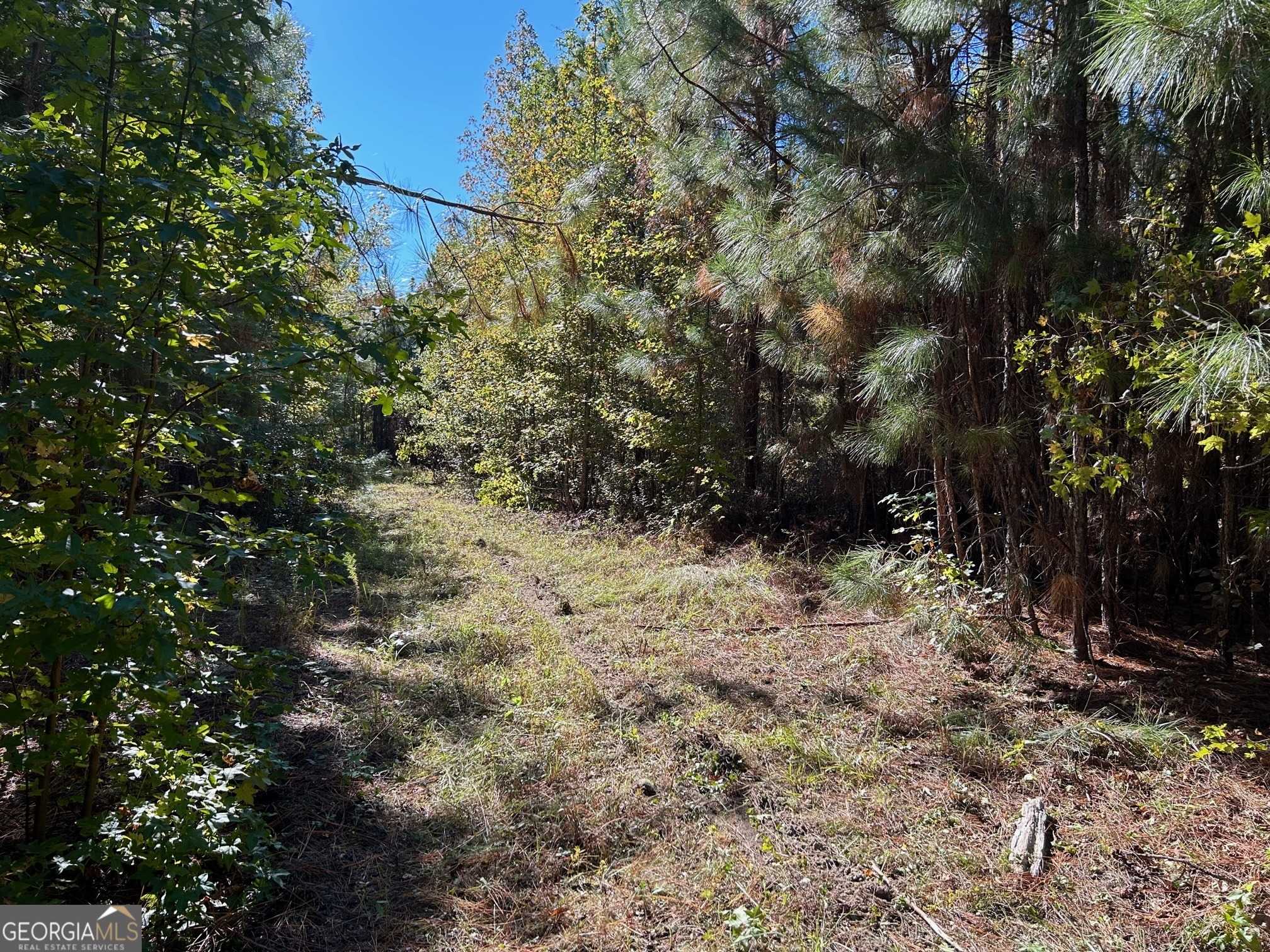 photo 1: Thigpen Cemetery Road, Rockledge GA 30454