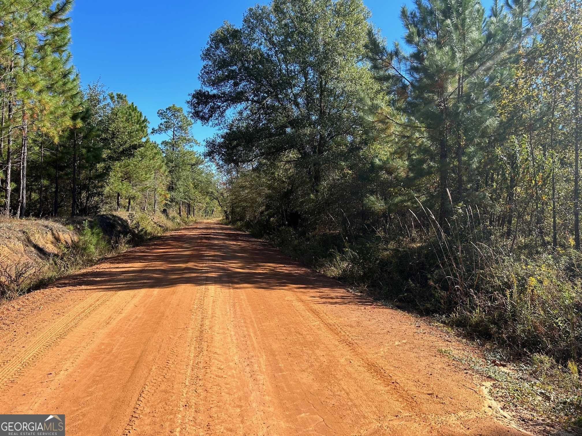 photo 2: Thigpen Cemetery Road, Rockledge GA 30454