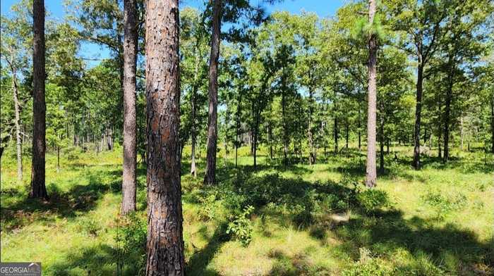 photo 2: Sawyer Road, Sylvester GA 31791