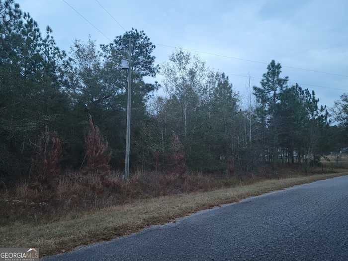 photo 7: 121 Case Rd, Sylvester GA 31791