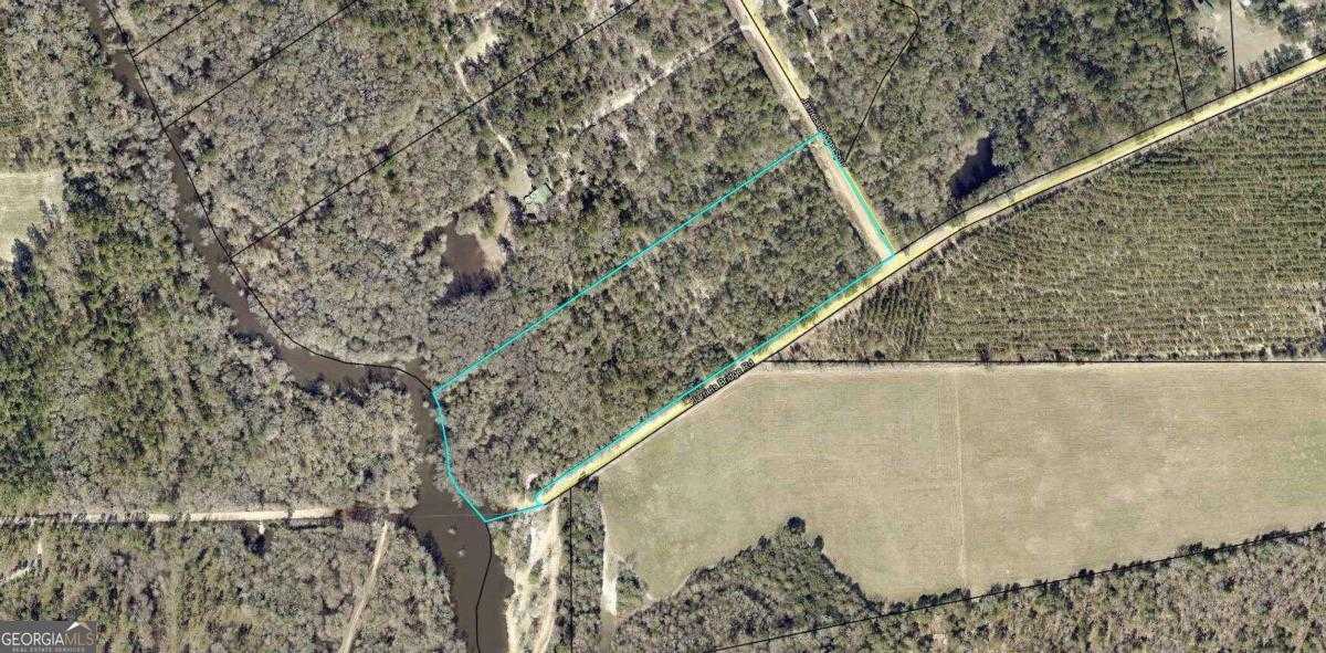 photo 2: 9.59 AC Jarriel'S Bridge Spur Road, Collins GA 30421