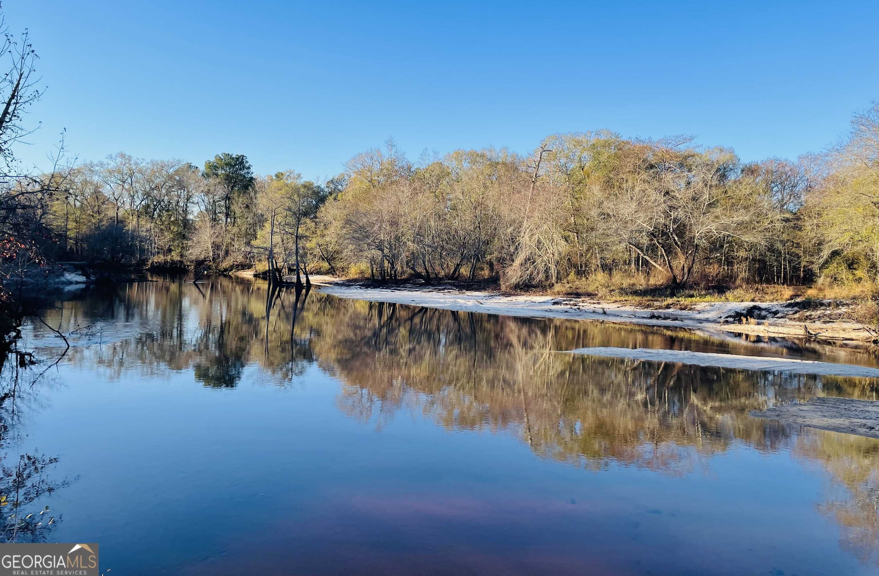 photo 3: 9.59 AC Jarriel'S Bridge Spur Road, Collins GA 30421