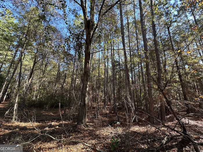 photo 1: LOT 21 Cochran Highway, Eastman GA 31023