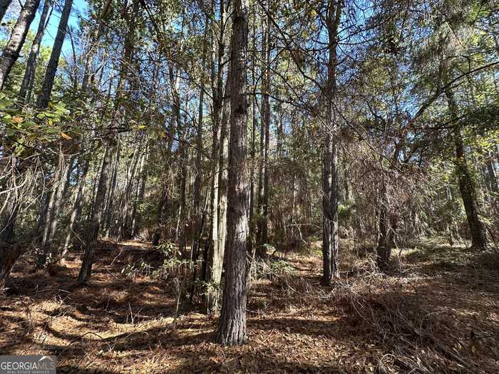 photo 4: LOT 22 Cochran Highway, Eastman GA 31023