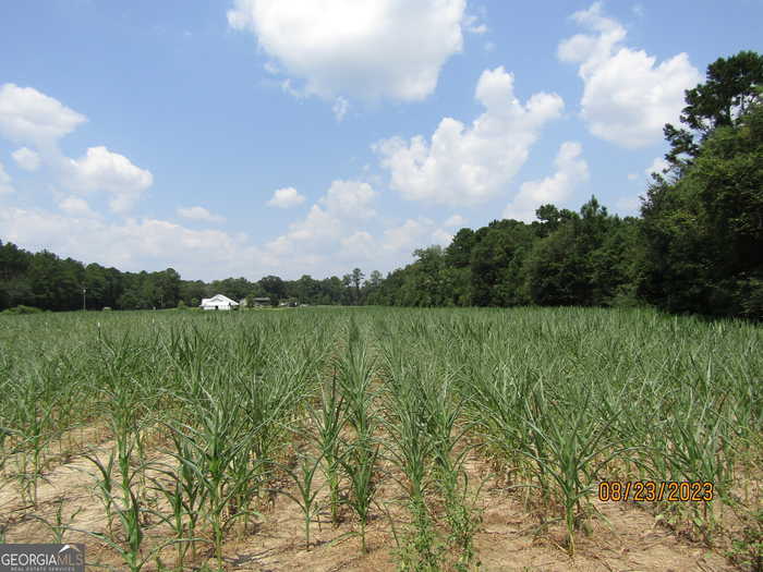 photo 7: Stage Coach Road, Meigs GA 31765