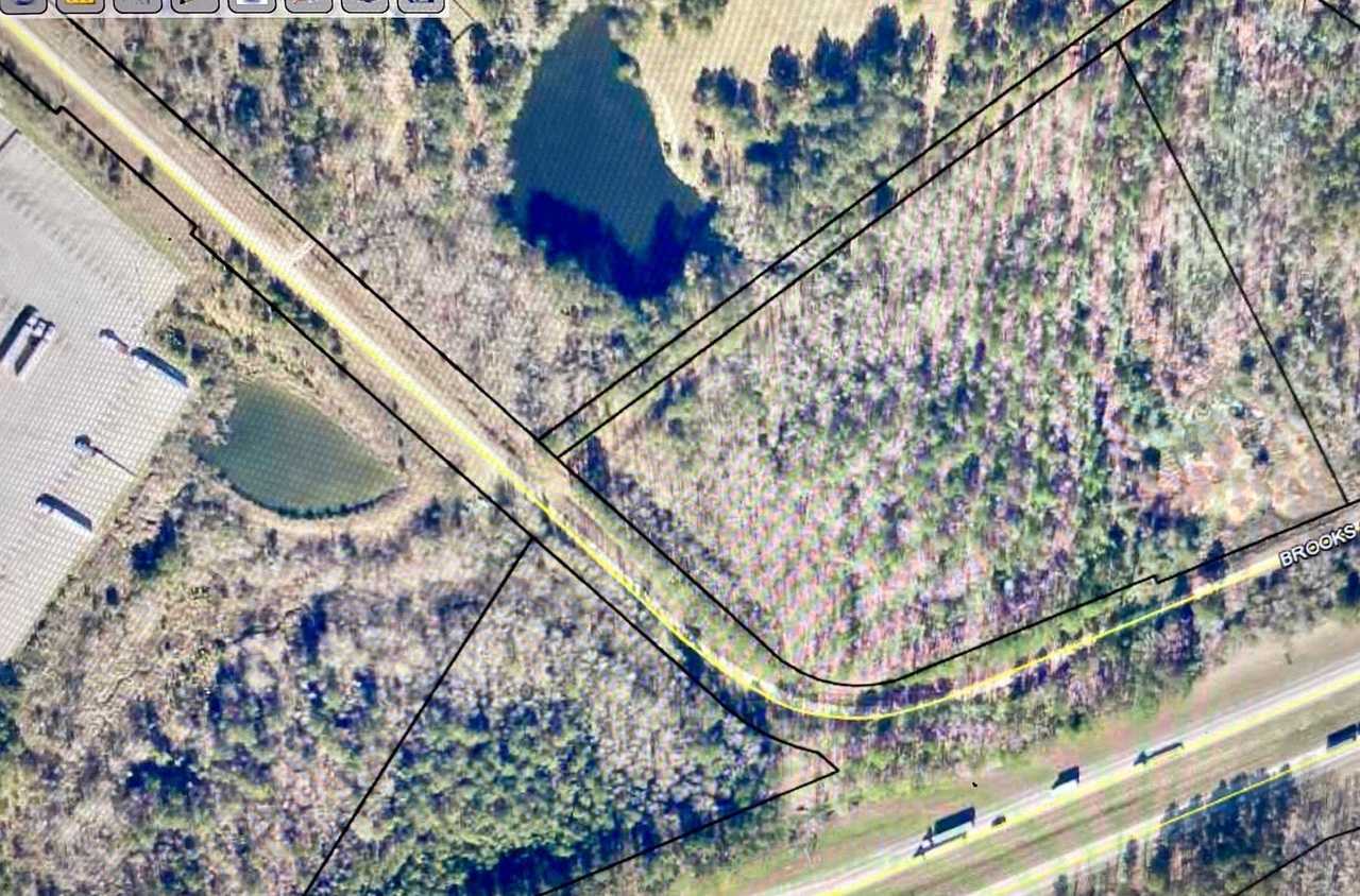 photo 1: Highway 77 Access/Brooks Cemetery Road Unit TRACT 1, Greensboro GA 30642