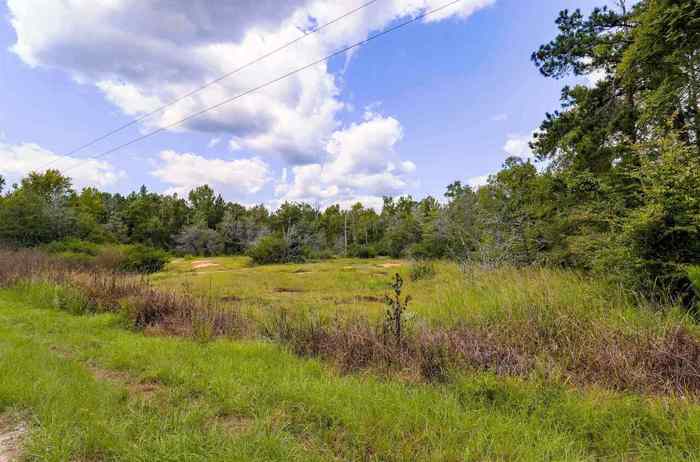 photo 13: Highway 77 Access/Brooks Cemetery Road Unit TRACT 1, Greensboro GA 30642