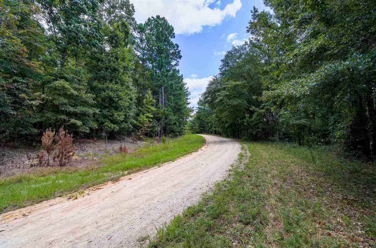 photo 3: Highway 77 Access/Brooks Cemetery Road Unit TRACT 1, Greensboro GA 30642