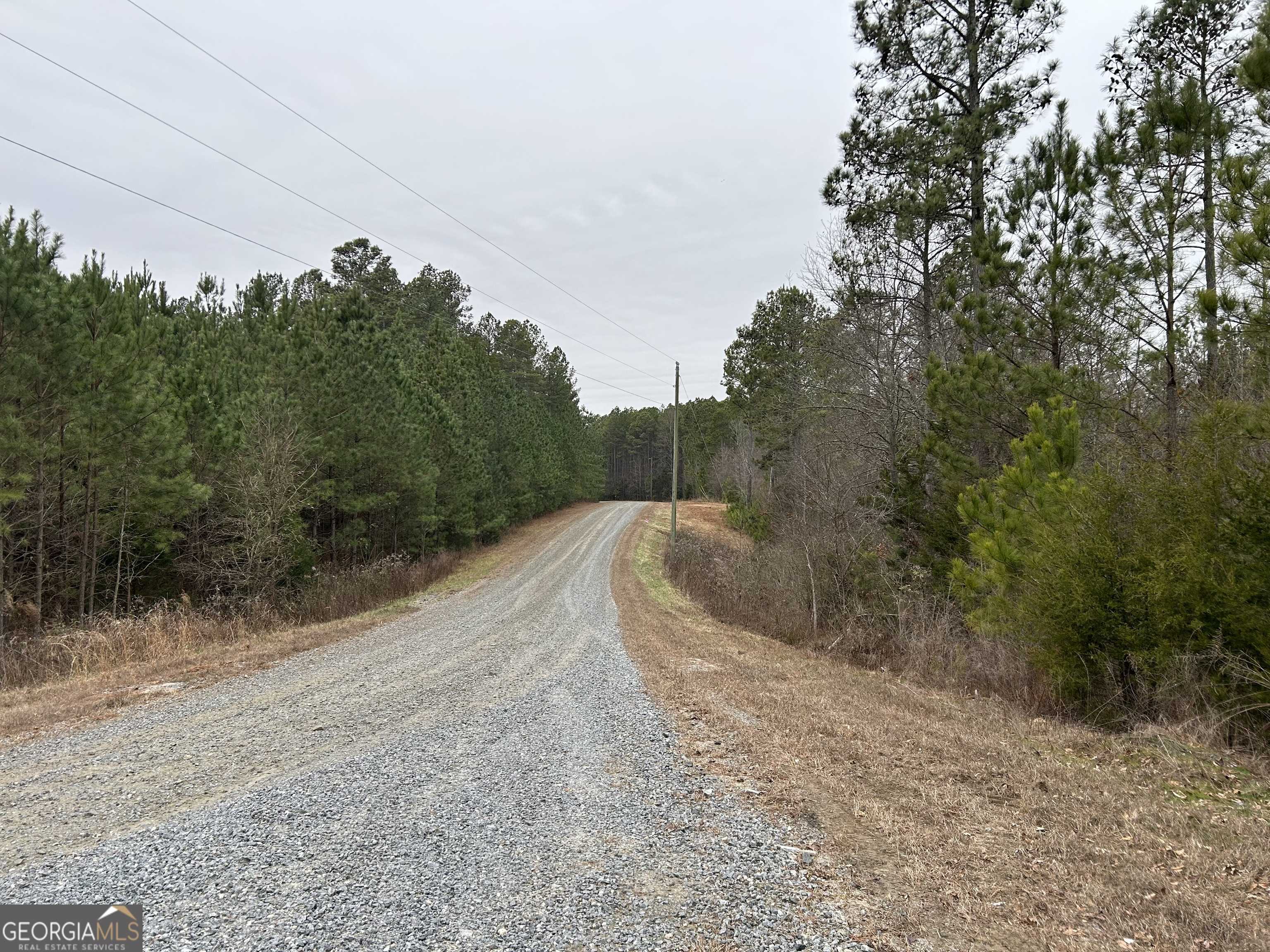 photo 1: 1208 Hornets Bridge Drive, Elberton GA 30635