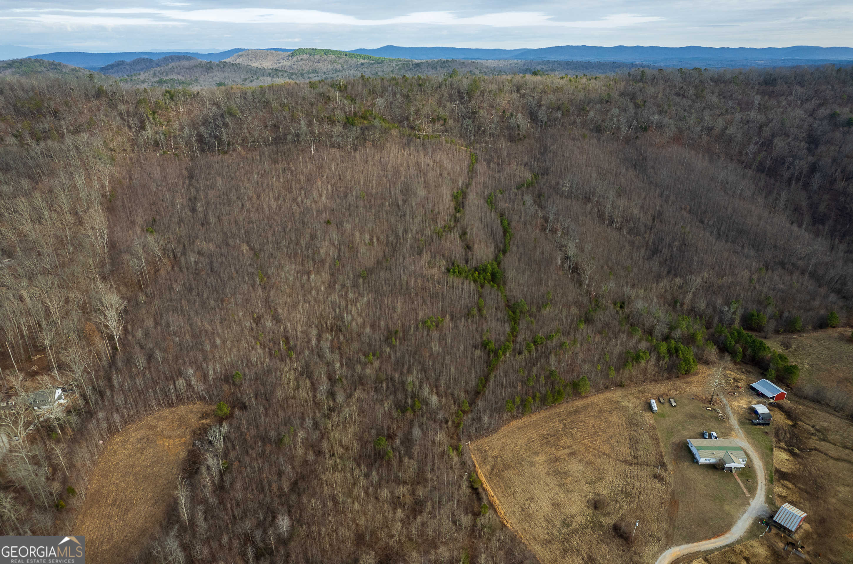 photo 2: Alabama Hwy - Tract 4, Rock Spring GA 30739