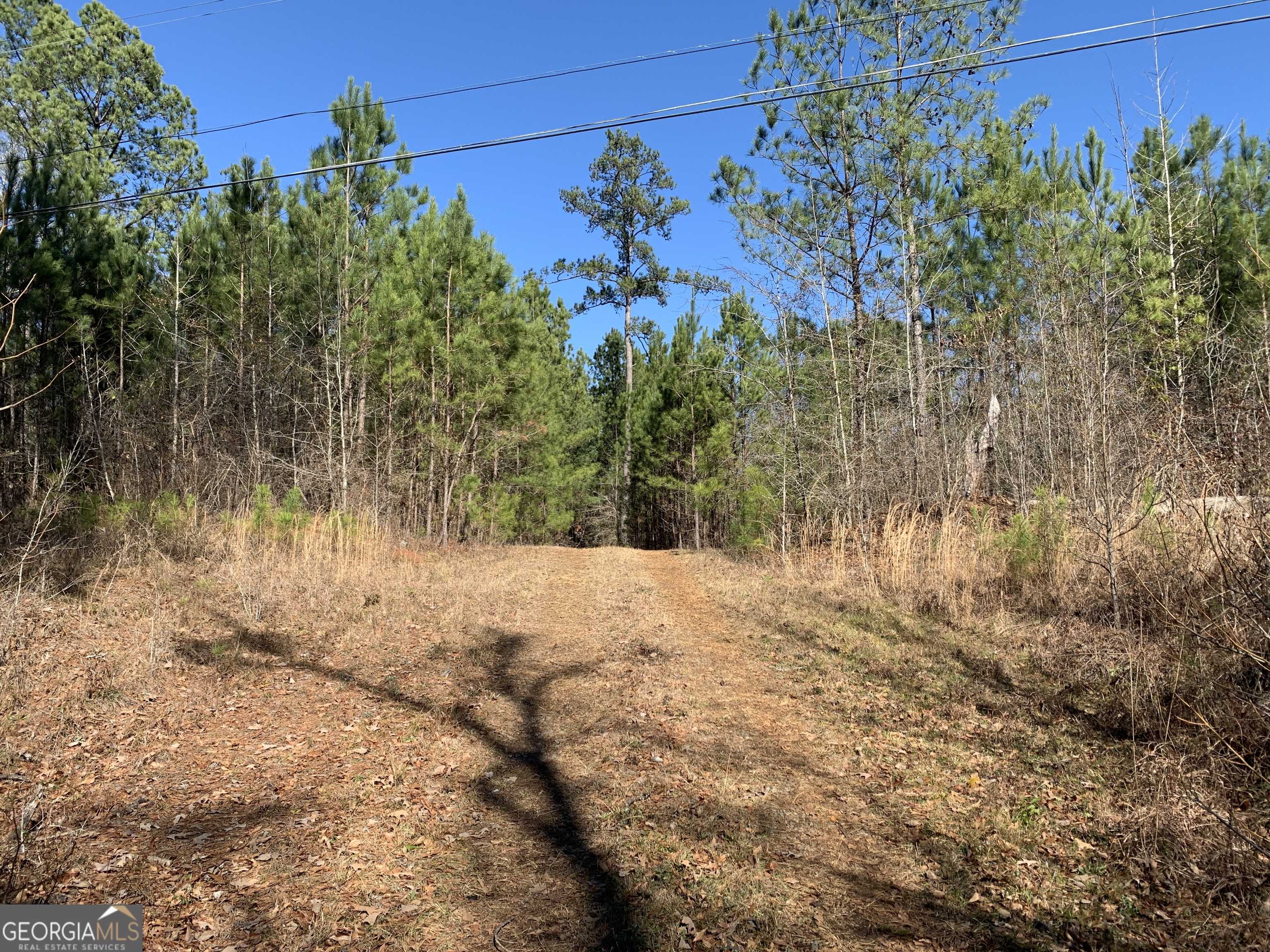 photo 2: Hwy 57, Irwinton GA 31042