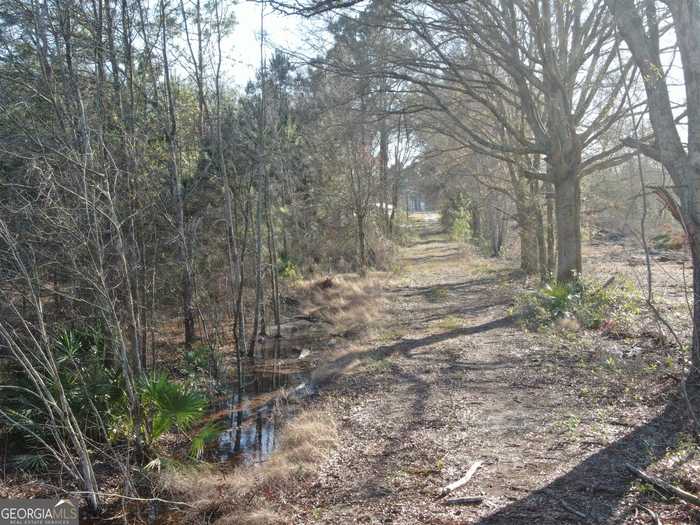 photo 11: White Pine Highway, Nicholls GA 31554