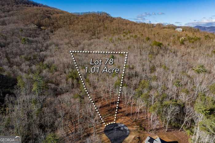 photo 1: LOT 78 Leisure Mountain, Sautee Nacoochee GA 30571