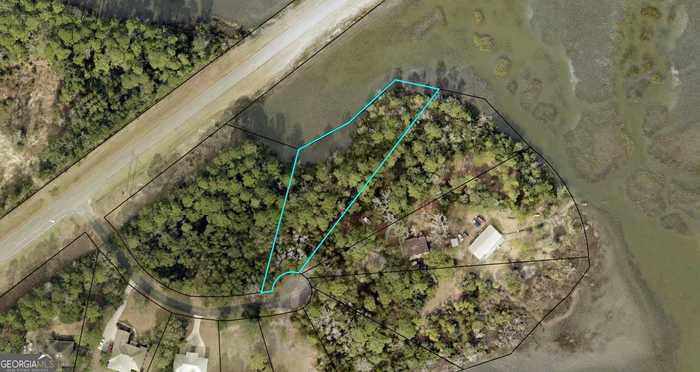 photo 2: Jessies Lane Lot 2, Woodbine GA 31569