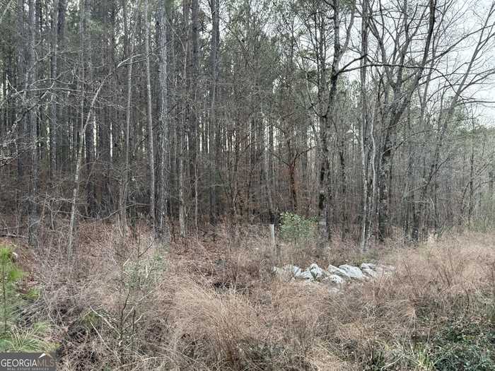 photo 14: Bethany Church Road, Crawfordville GA 30631