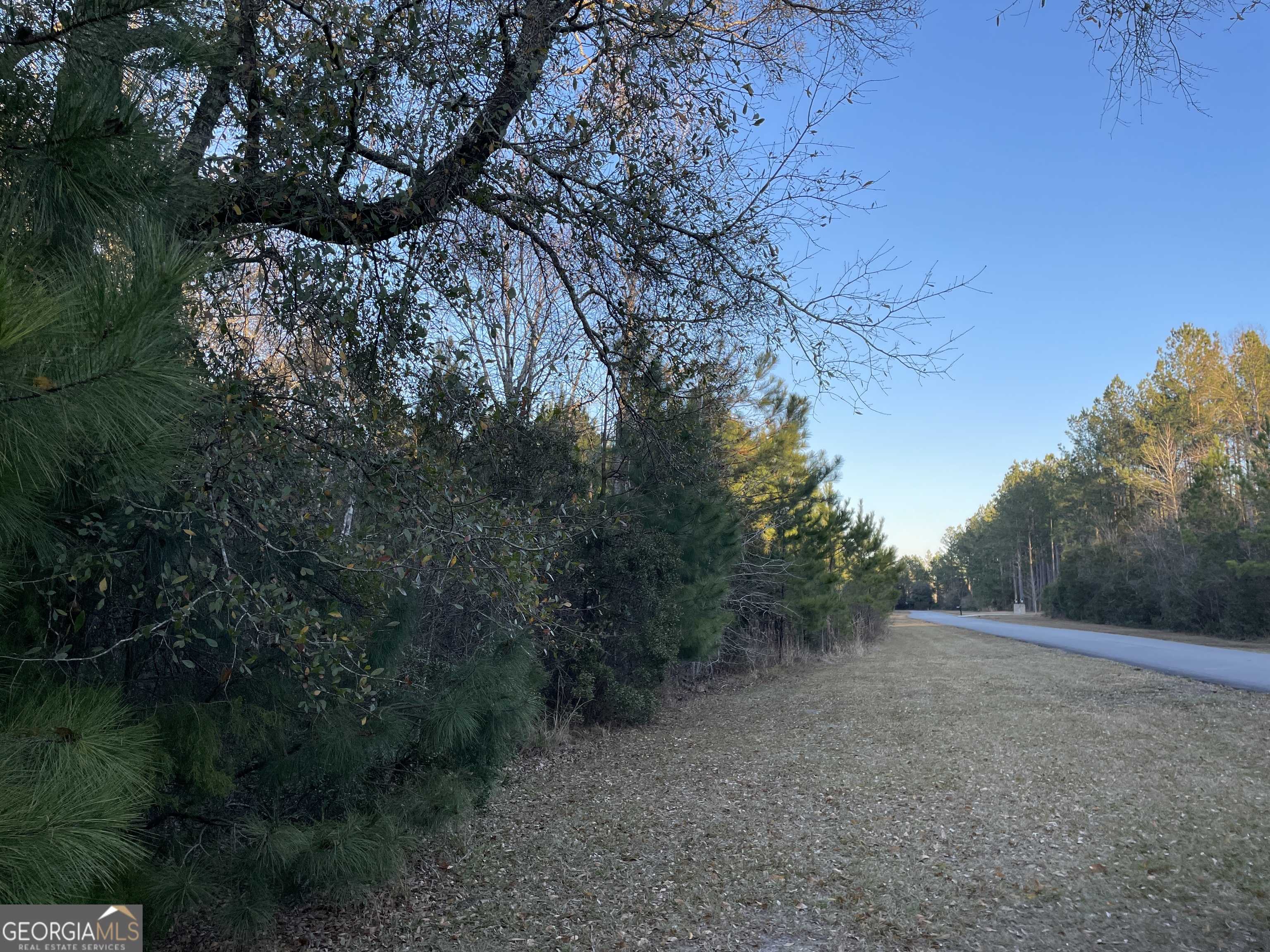 photo 1: La Vento Lane, Waverly GA 31565