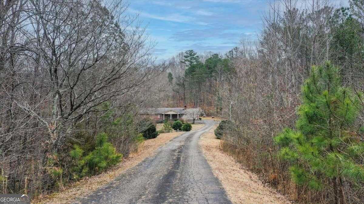 photo 3: 1996 Highway 400 N, Dawsonville GA 30534