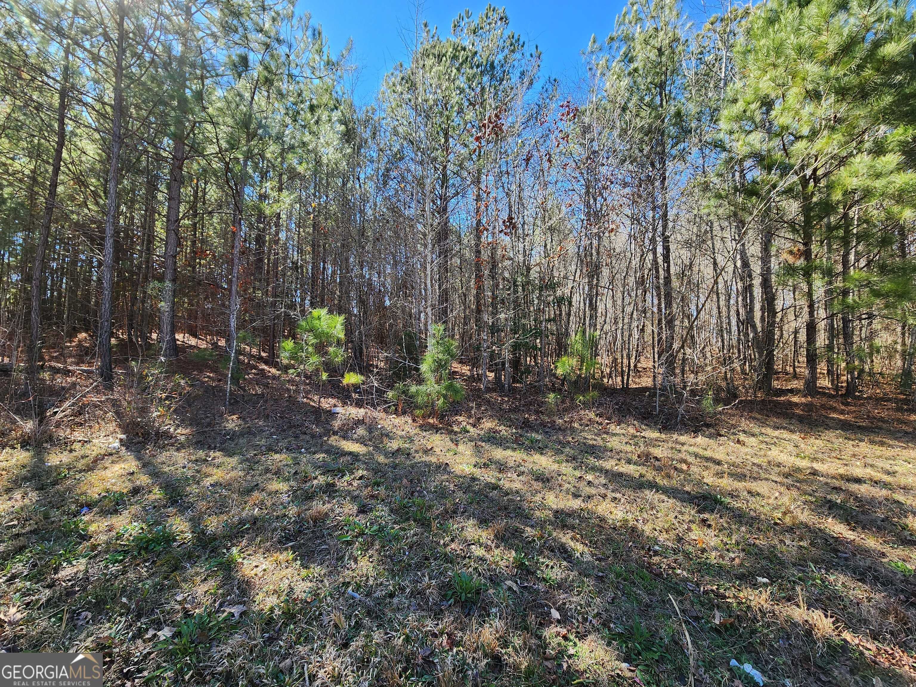 photo 3: LOT 63 Beaty Circle, Flovilla GA 30216