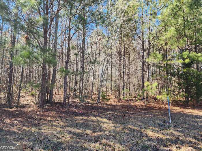 photo 8: LOT 63 Beaty Circle, Flovilla GA 30216