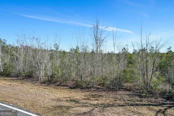 photo 17: Manningtown Road, Jesup GA 31546