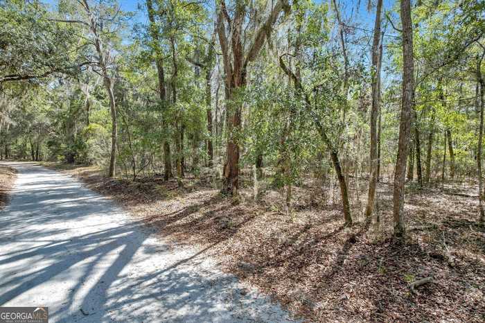 photo 10: Drizzle Bluff Road, Woodbine GA 31569