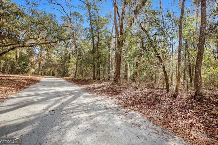 photo 2: Drizzle Bluff Road, Woodbine GA 31569