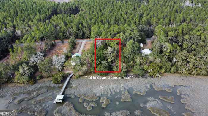 photo 2: LOT 134 Julienton Drive, Townsend GA 31331