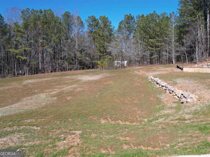 photo 2: 12 Rivers Edge Lane LOT 2, Franklin GA 30217