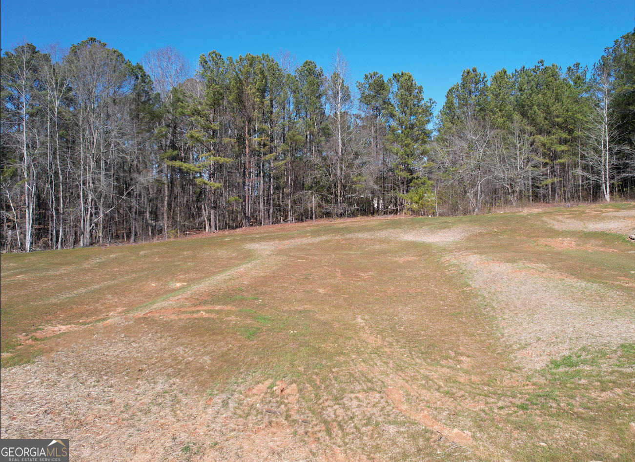 photo 2: 14 Rivers Edge Lane LOT 3, Franklin GA 30217