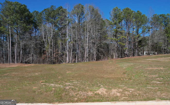 photo 2: 18 Rivers Edge Lane LOT 5, Franklin GA 30217