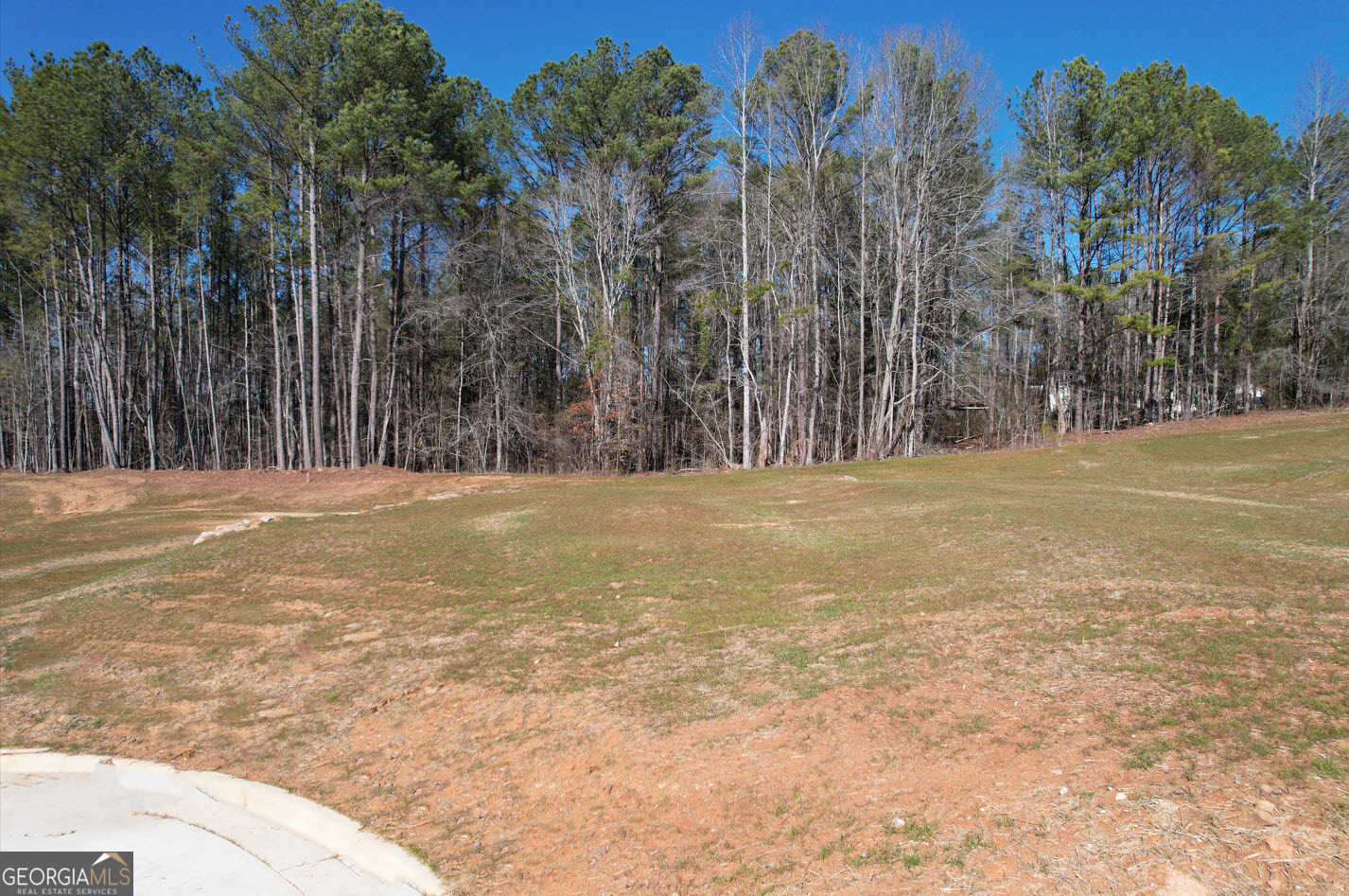 photo 2: 20 Rivers Edge Lane LOT 6, Franklin GA 30217