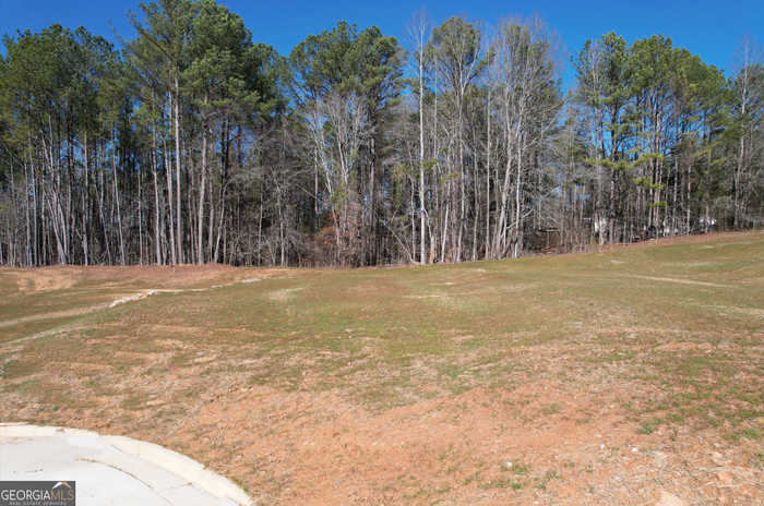 photo 2: 20 Rivers Edge Lane LOT 6, Franklin GA 30217