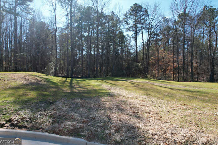 photo 2: 25 Rivers Edge Lane LOT 10, Franklin GA 30217