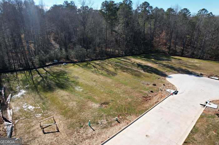 photo 3: 25 Rivers Edge Lane LOT 10, Franklin GA 30217