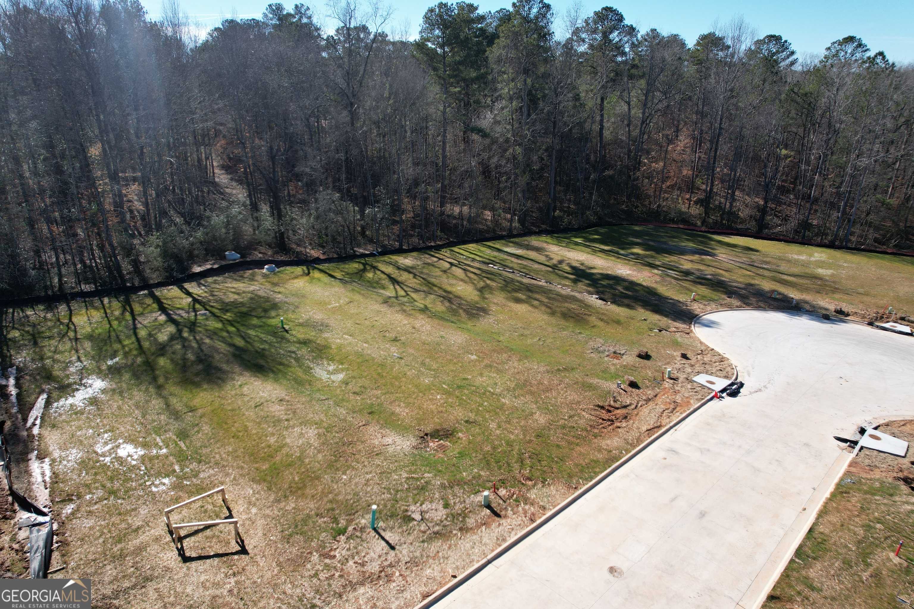 photo 3: 23 Rivers Edge Lane LOT 11, Franklin GA 30217