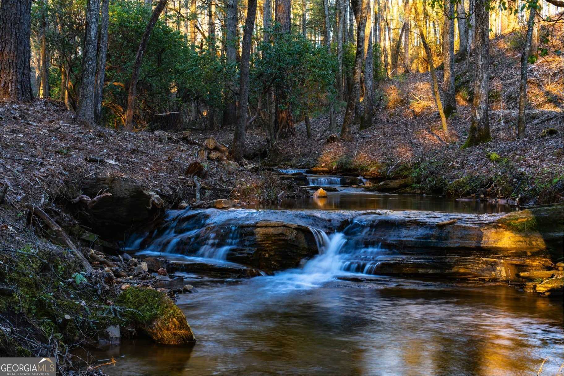 photo 3: Gray Bluff Trail Unit LOT 159, Talking Rock GA 30175