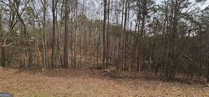 photo 1: Connesena Road, Kingston GA 30145