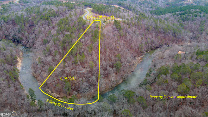 photo 1: LOT 202 Blalock Mountain Court, Ellijay GA 30540