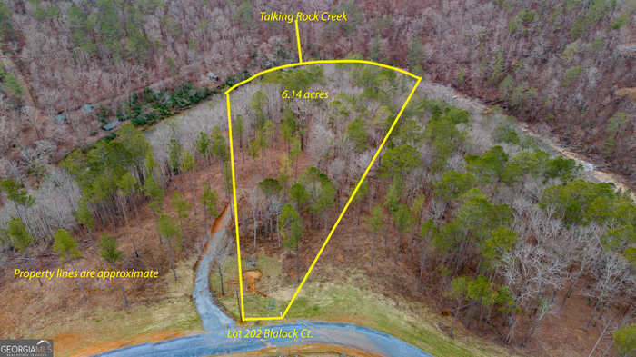 photo 2: LOT 202 Blalock Mountain Court, Ellijay GA 30540