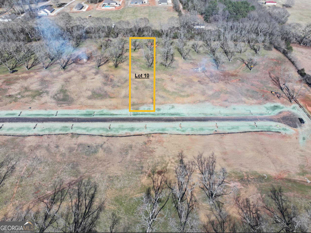 photo 2: LOT 10 Chinaberry Street, Pine Mountain GA 31822