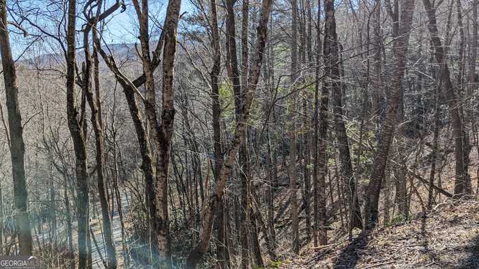 photo 1: Covered Bridge Lane, Sky Valley GA 30537