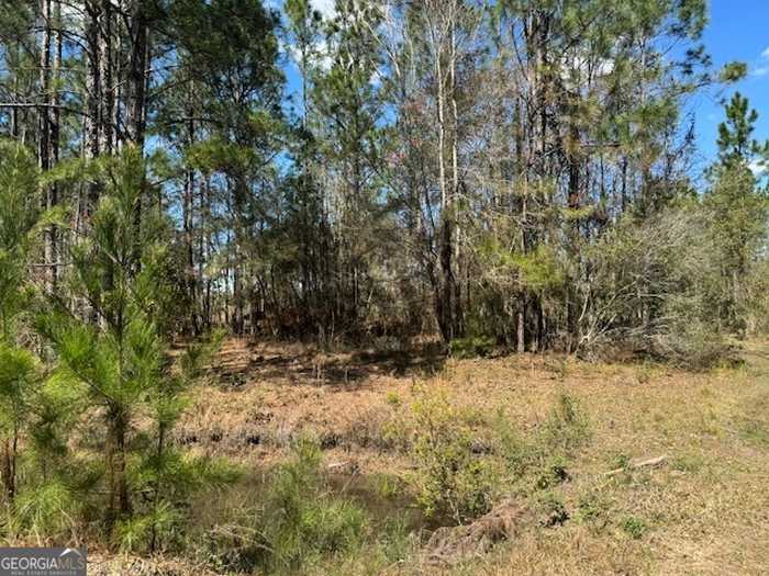 photo 2: 3222 Bertran Trail, Waycross GA 31503