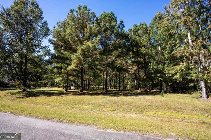 photo 6: Settlers Bluff Rd, Folkston GA 31537