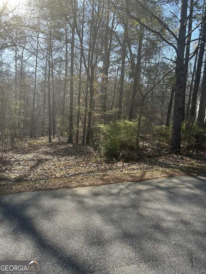 photo 1: 144 Lakeloch Drive, Lizella GA 31052