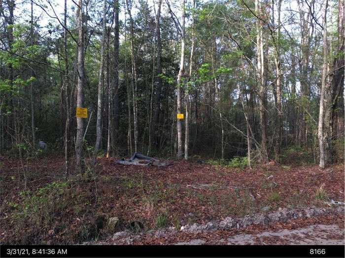 photo 2: LOT 27B Eulonia Lake Estates Road SW, Townsend GA 31331