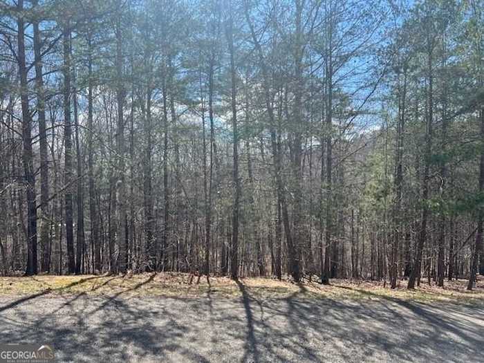 photo 1: LOT 4 Trevor Trail, Dahlonega GA 30533