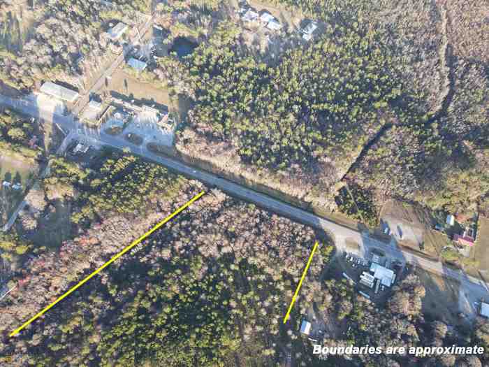 photo 14: Florida Ave (and Hwy 301) Unit LOT 89, Nahunta GA 31553