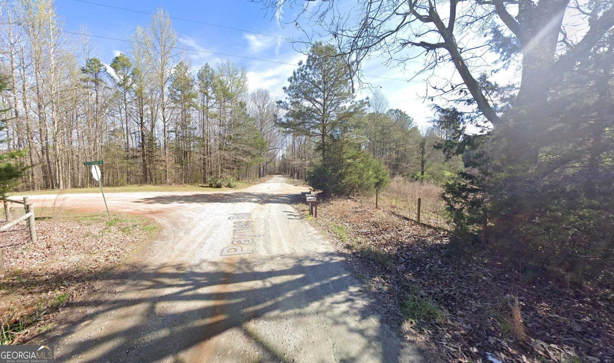 photo 2: 2265 Paynes Road, Carnesville GA 30521