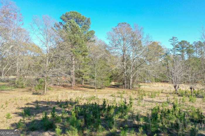 photo 8: Hog Mountain Road, Watkinsville GA 30677